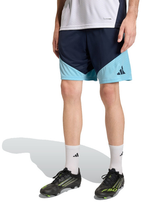 ADIDAS 男 AFA TR SHO 運動短褲