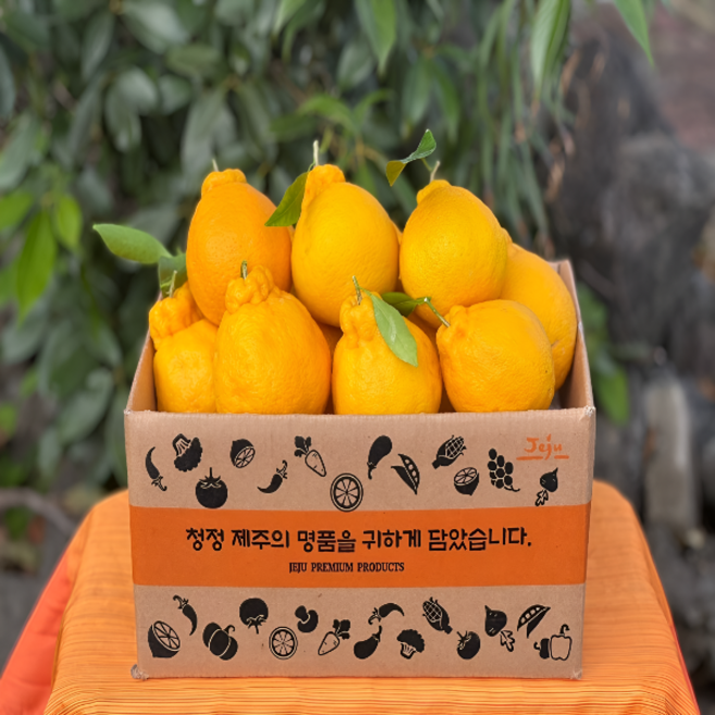 당일수확 제주 고당도 제철 달콤 한라봉 가정용 2.5kg 4.5kg 1박스, 1개, 가정용 중소과 4.5kg