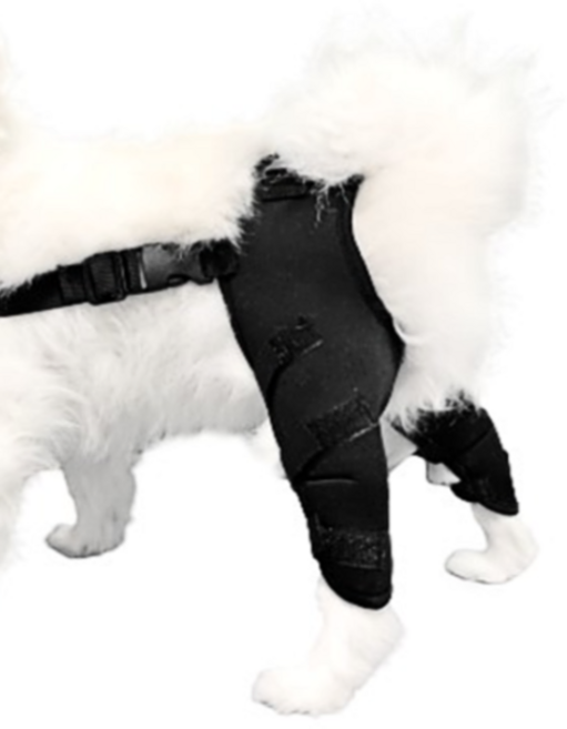강아지 슬개골 보호대 관절 양다리 뒷다리 보조기, XS(양다리뒷다리보호대), 1개