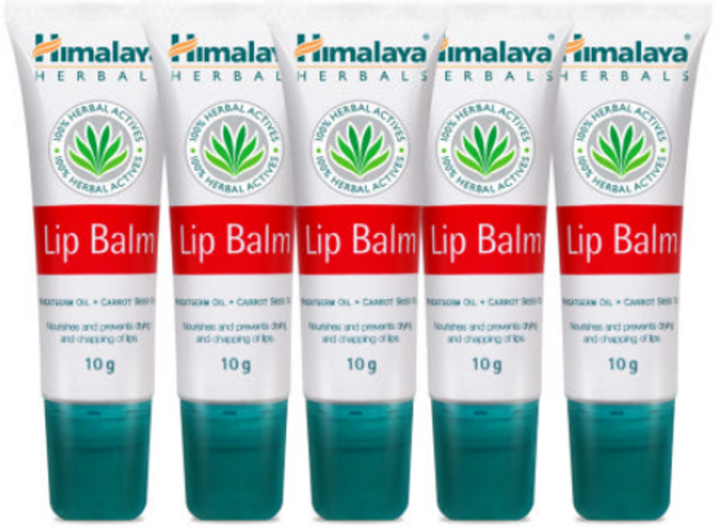 히말라야 립밤 10g 5개 대용량 입술보호제 립밥 올리브영 오리지널