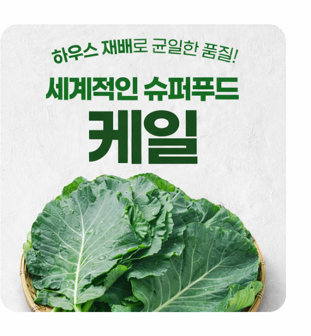 고품질케일 쌈용케일 국내산 하우스재배 GAP인증(녹즙용 아님), 1박스, 1kg