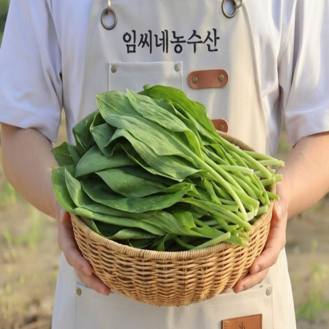 [예약중] 산마늘명이나물 강원도 생 잎명이 울릉도 농장직송, 1kg, 1개