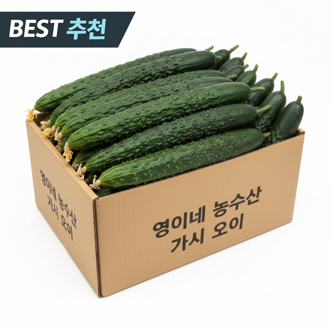 [한정특가] 국내산 오이 수분가득 가시오이, 1박스, 2kg