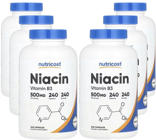 뉴트리코스트 니아신 240캡슐, 240정 - 쿠팡