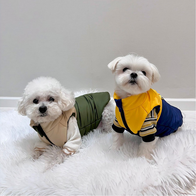 강아지 패딩 조끼 애견 겨울패딩 겨울옷, 블루(L), 1개