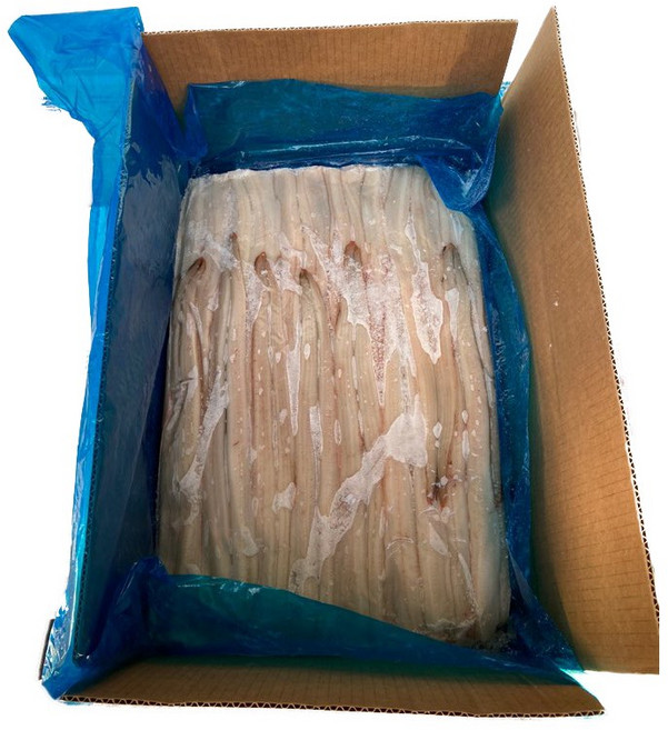 붕장어필렛(41/45) 4kg, 1개