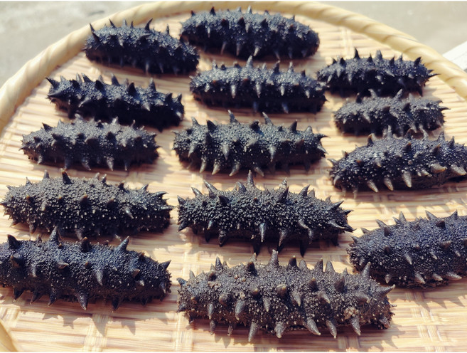 국내산 반건조해삼 200g 자숙해삼/건해삼, 1개, (대)200g