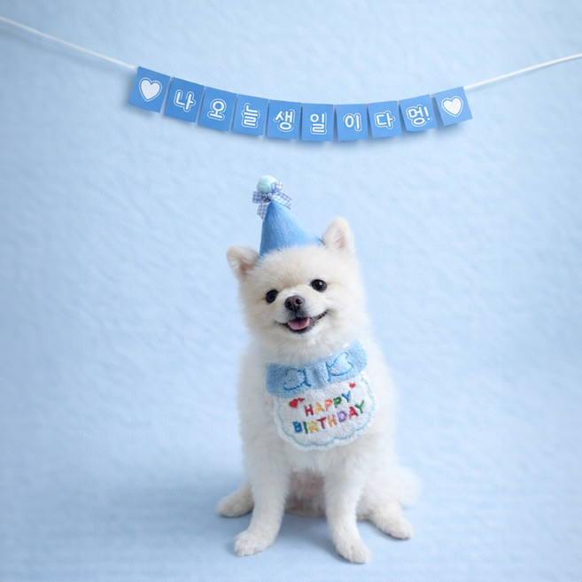 강아지 생일파티용품 세트 반려견 생일 턱받이 꼬깔 가랜드 파티소품, 1개, 블루