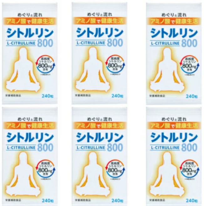 웰니스 시트룰린 다이어트 근성장 피로 헬스 건강 운동보충 6통, 240정