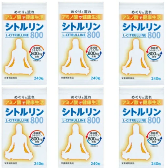 웰니스 시트룰린 다이어트 근성장 피로 헬스 건강 운동보충 6통, 6개, 240정 - 쿠팡