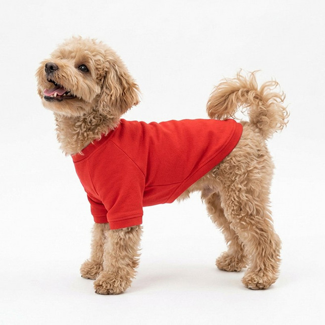 마몽펫즈 데일리핏 반려견 무지 쭈리코튼 맨투맨 소형 대형견 티셔츠, 1개, 레드