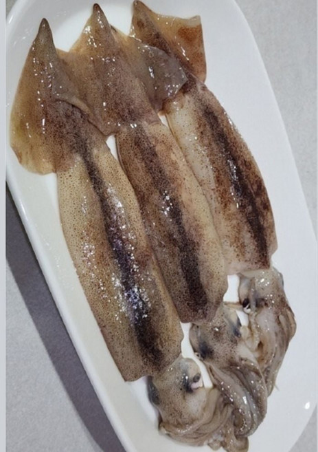 신선한 국내산 생물 오징어 2kg 숙회 볶음 반찬용 요리 재료 수산물 dar2787wO, 1개, 단일