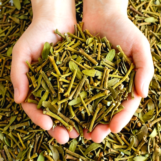 국산 자연산 겨우살이 뽕나무 참나무, 1개, 1kg