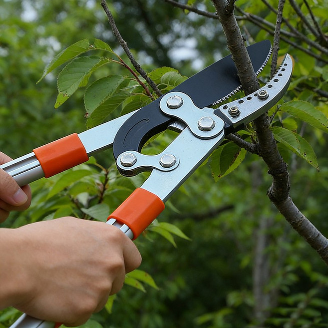 tinduo 대형 텔레스코픽 전지가위 SK-5강 길이조절 가능 원예 나무가지치기 전용가위, 1개