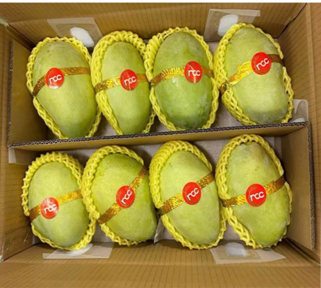 베트남 그린망고 Tuquy 펫망고 시고 새콤달콤 700G 1.5KG 2.5KG 5KG, 1박스, 700g~800g