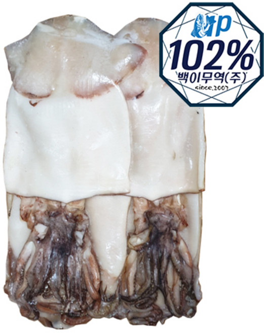 UP102% 깔끔손질오징어/탈피5kg(다리있음), 1개