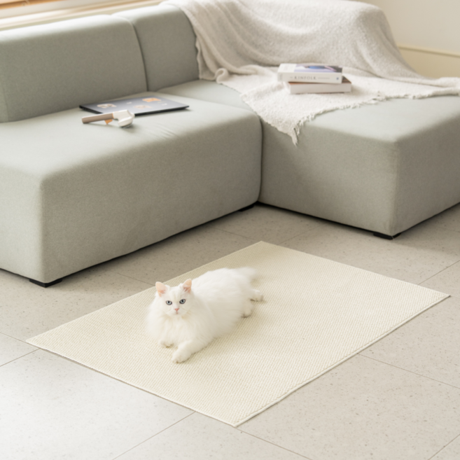 스타캣 친환경 고양이 스크래쳐 카페트 매트 논스립 빨아쓰는 러그, 1개, 아이보리
