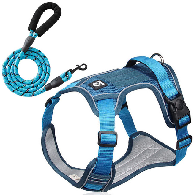 해피펫밀리 중대형견 하네스 리드줄 세트, 1개, 블루+스카이 리드줄