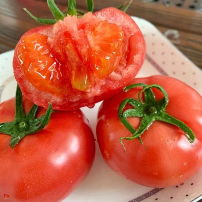 [최저가갱신]농부선택 탄력과육 새콤상큼 못난이 완숙토마토, 1박스, 5kg