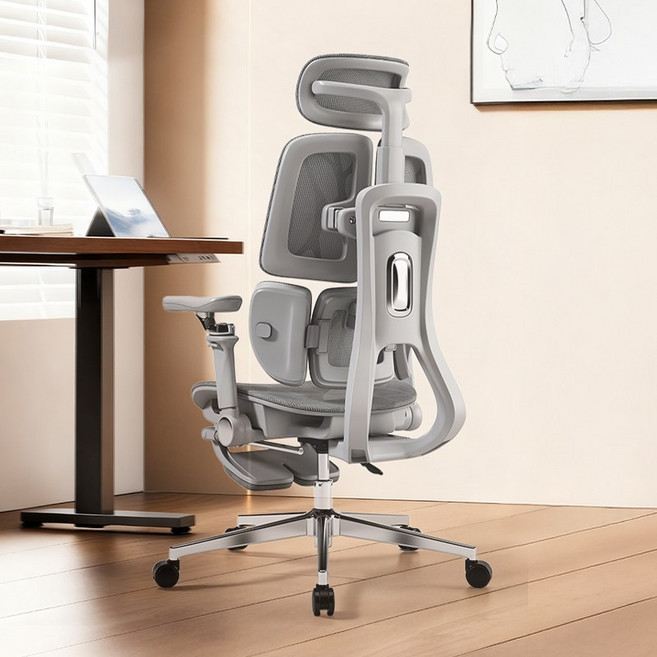 [3년 보증] Xpanse S030 더블백 디자인 컴퓨터의자 / 사무용 게이밍 체어 / 학생 책상의자 3존 요추 지지대 포함, 회색