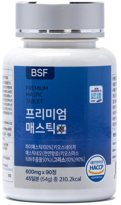 BSF 프리미엄 매스틱정 HACCP 인증 600mg x 90정, 54g, 1개