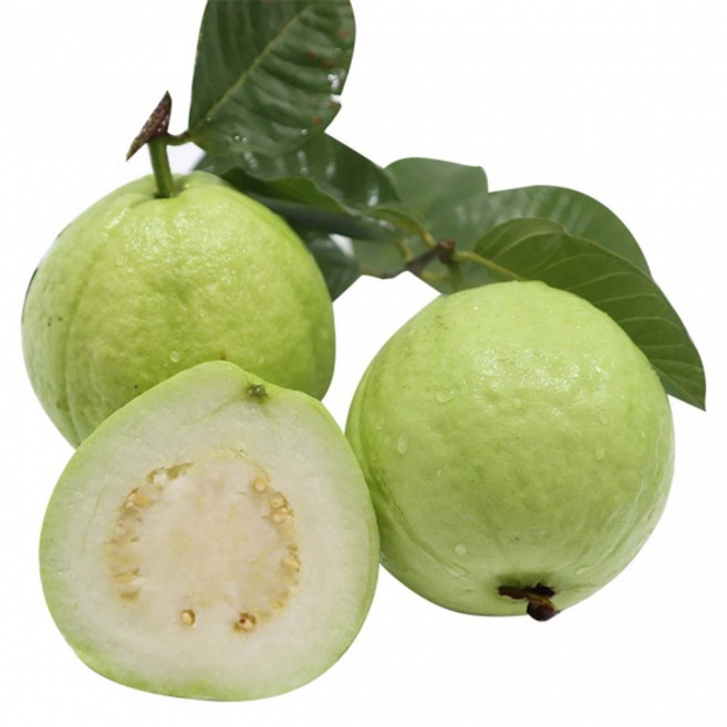 구아바 (국산) trai oi Viet Nam 약 450g~ 500g, 1개