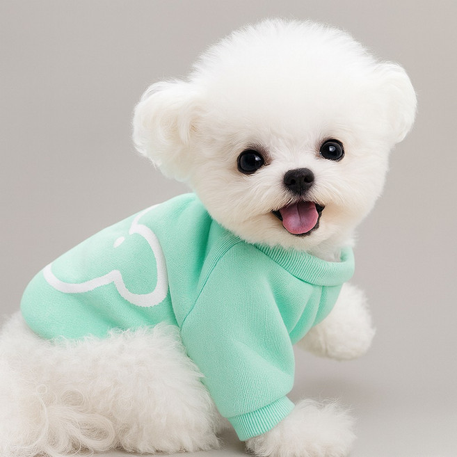 오렌지원 강아지 기모 드로잉 맨투맨 티셔츠 실내복, 1개, 민트