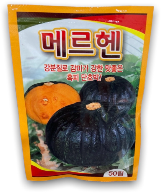 메르헨 흑피단호박 씨앗 50립 강분질로 감미가 강한 맛좋은 흑피 단호박 종자 전문가용, 1개