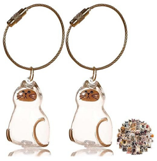 루이 반려동물 털 추억 보관 키링 - 휴대용 미니 메모리얼 병, 2개