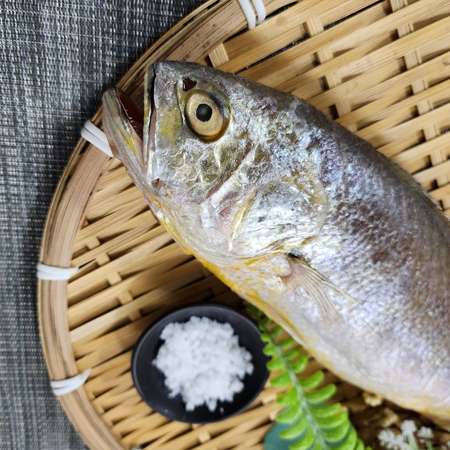 반건조 부세조기 굴비 자반용 제수용 반찬용 생일상차림 부드러운 조기 3마리구성 제수용 1마리구성, 1세트, 36-39cm( 1마리)