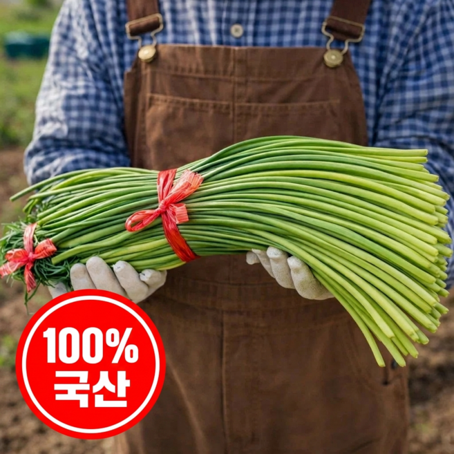 [최상품] 100% 국산 마늘쫑 햇마늘쫑, 1개, 200g