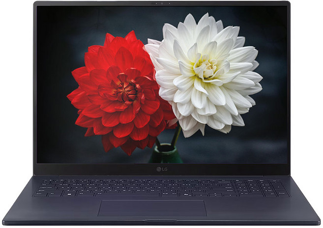 LG전자 2025 그램 프로 AI 17 코어 Ultra5 지포스 RTX 5050, 옵시디안 블랙, 17Z90TR-EA5BK, 512GB, 32GB, WIN11 Home