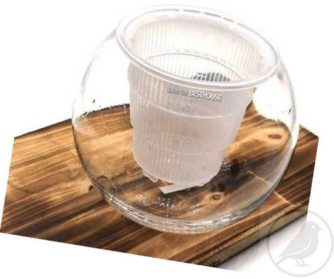 소레빈 유리화병 난재배 14x15 슬릭포트포함 투명꽃병