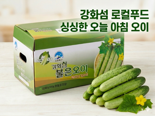 오이 강화섬 로컬푸드, 1박스, 못난이오이지용50개