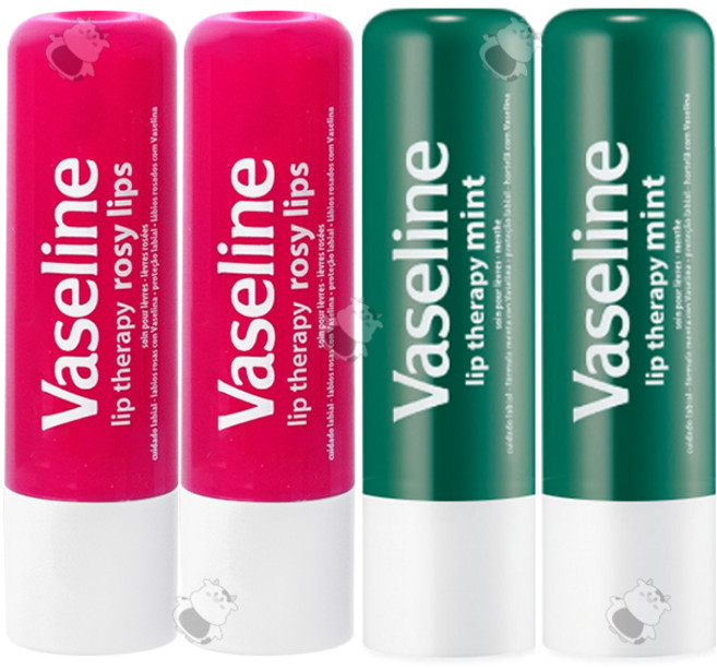 바세린 립테라피 립밤 스틱형 4종, 4.8g, 1세트, 로지립스x2+민트x2