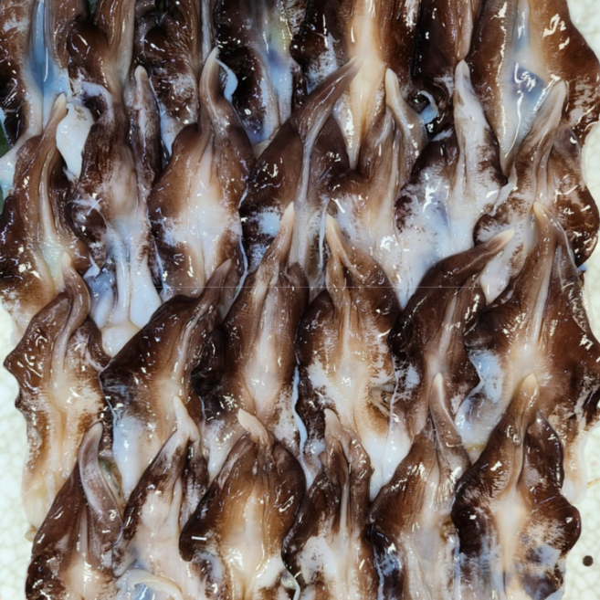 [타임특가] 산지직송 여수 손질 새조개, 1개, 1kg