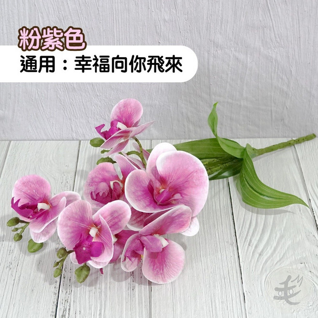 仿真蝴蝶蘭盆栽擺飾 拍攝/攝影道具, 粉紫色,不用花瓶, 1個