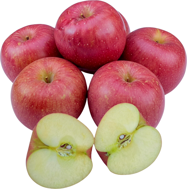 달콤팡팡 경북 청송 고당도 부사 사과 꿀사과, 1박스, 대과_5kg