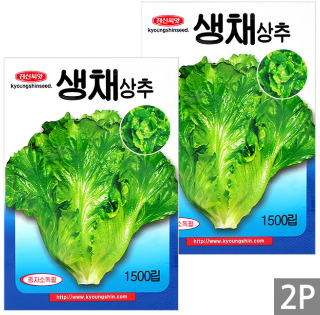 세인화분 생채 상추 씨앗 1500립 - 씨 씨앗 샐러드 상추씨 샐러드, 2개
