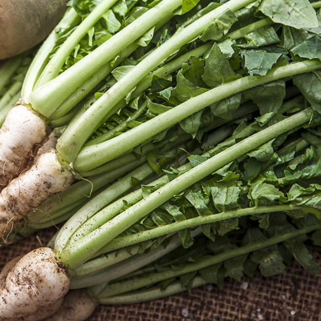 친환경 무농약 열무 1kg 4kg, 1박스