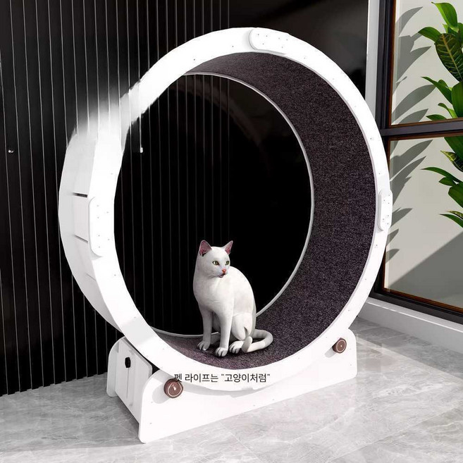 대형캣휠 캣워커 베어링 놀이터 휠 저소음, 1개, 소형 내경 80mm