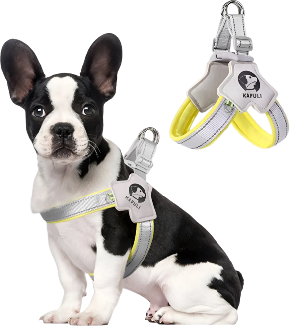 강아지 Y형 하네스 목줄 가슴줄 풀림방지, 1개, 옐로우