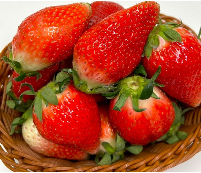 국내산딸기 고당도딸기 선물용 설향 킹스베리 특과 실속과 한입과, 1세트, 킹스베리 랜덤과 440g 1팩 (6-12과 이내)