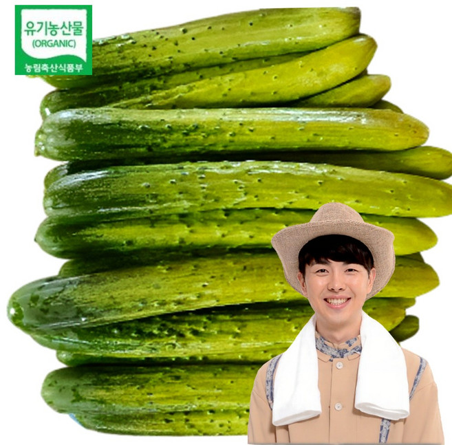강원도 유기농 백오이 백다다기 오이 오이지용 소박이용, 1개, 3kg
