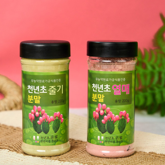 천년초 줄기열매분말 /무농약원료가공식품 인증 첨단시설 이물질제거 [천년비결천년초], 줄기 220g, 1개