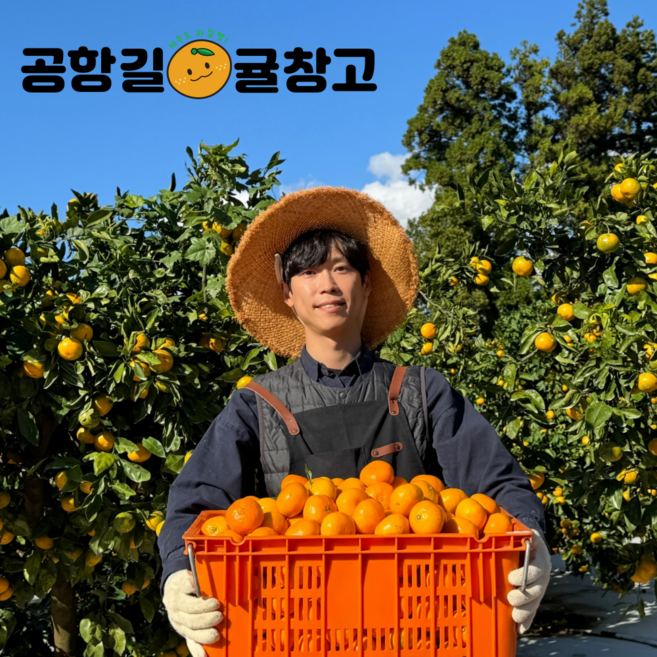 [공항길귤창고]제주 위미 효돈감귤 카라향 한라봉, 1박스, 카라향 가정용3kg(소과)