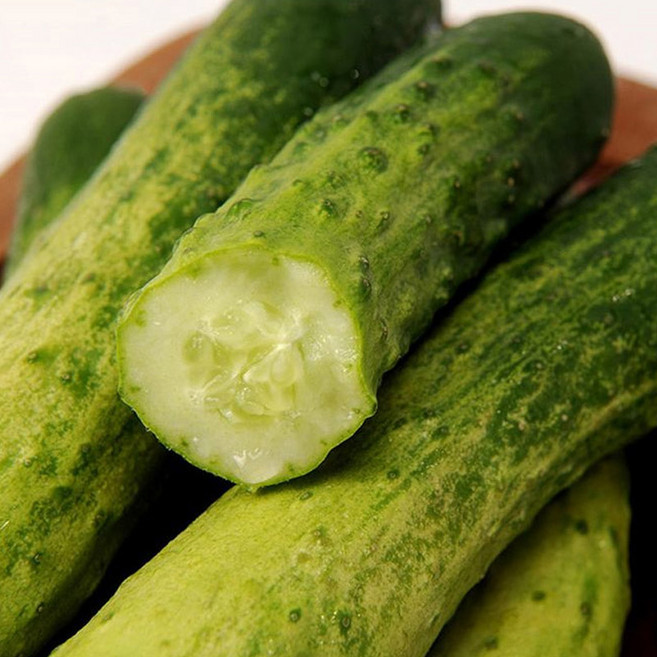 국내산 백다다기 오이 특품 5kg, 1박스