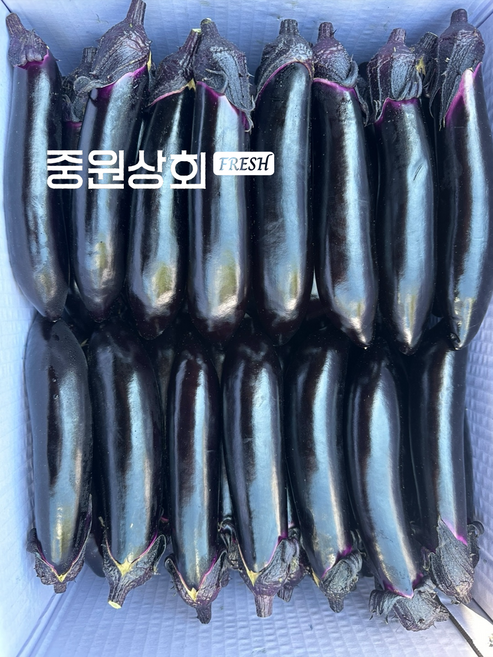 국내산 못난이 가지 1kg 5kg 10kg 중도매인 당일경매, 1개, 못난이 가지(5kg내외)