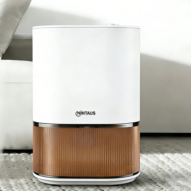 Nintaus 2.5L 화이트 가정용 제습기 무소음 원룸 침실 욕실 습기제거 방습기, VS-DH09, 흰색