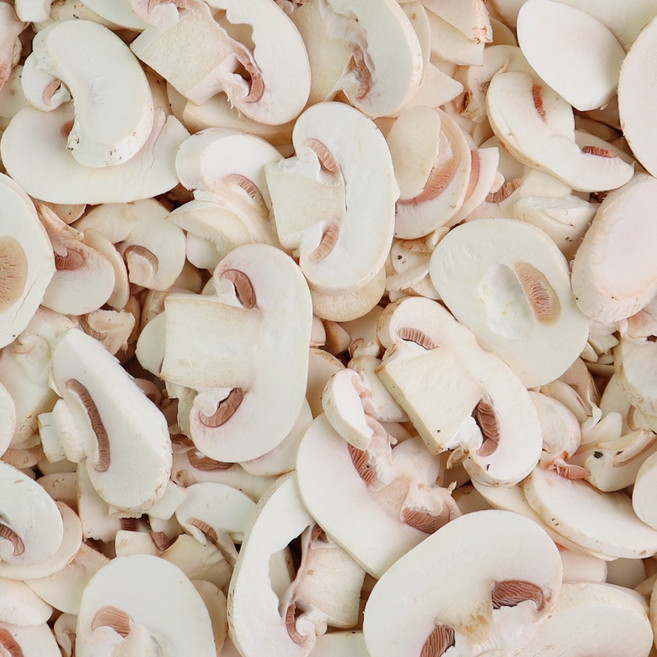 양송이버섯 1kg 슬라이스양송이 산지직송 당일수확, 단품, 단품